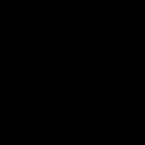 Meet your Posher, Haylie